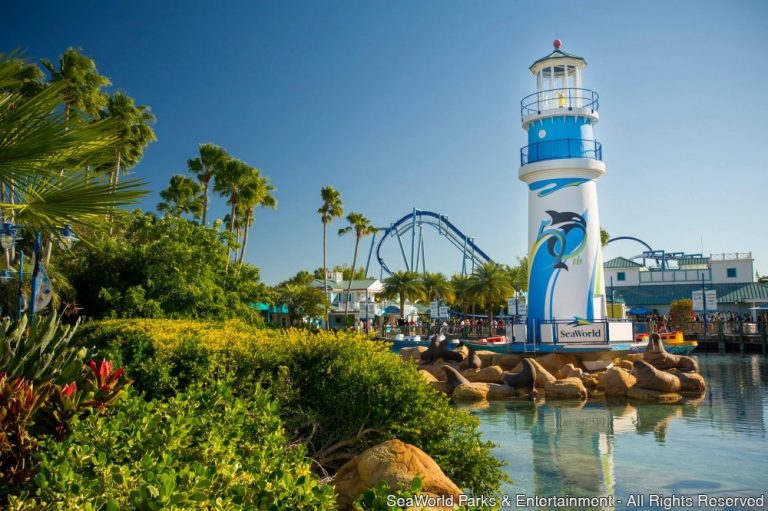 SeaWorld Orlando e Busch Gardens Tampa Bay deixarão de aceitar papel moeda