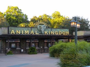 Disney's Animal Kingdom - Sneak Preview