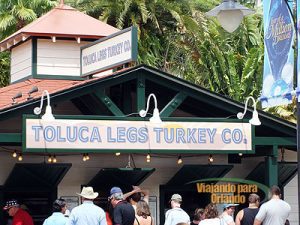 Toluca Legs Turkey Co.
