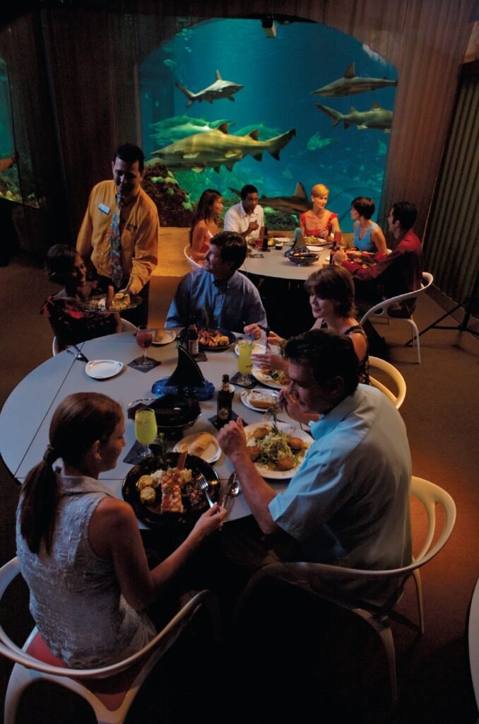 dine at sharks underwater grill