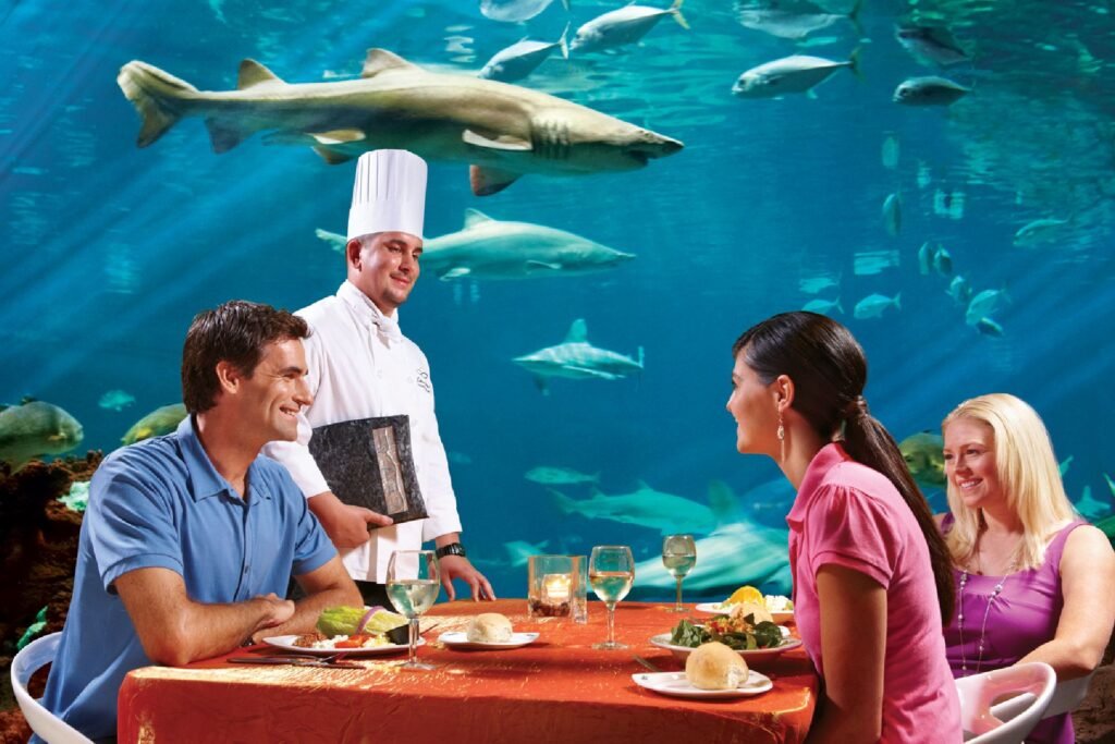 sharks grill