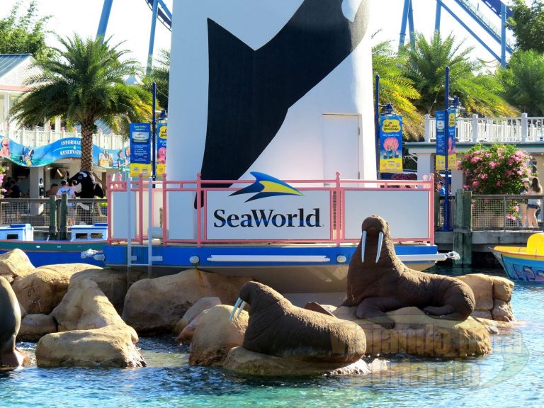 Pearl Divers retorna ao SeaWorld Orlando após vários anos de ausência