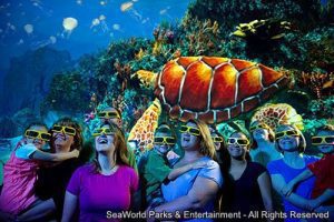 Curiosidades sobre a atração TurtleTrek do parque SeaWorld