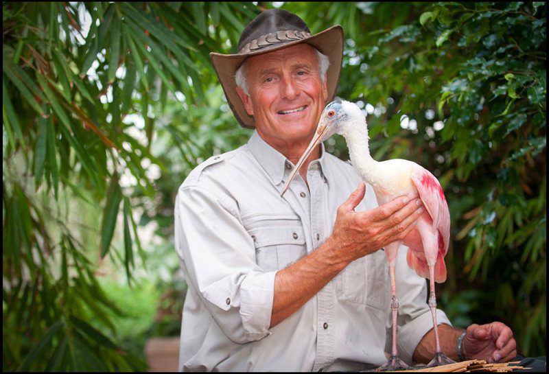 swwilddaysjackhanna2014