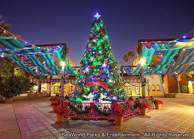 Já foram divulgadas as datas do evento Christmas Town do parque Busch Gardens Tampa