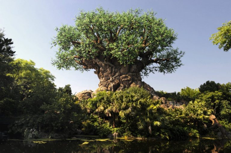A Disney irá transmitir ao vivo o início das festividades pelo aniversário de 20 anos do parque Disney’s Animal Kingdom