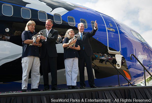 Southwest Airlines pinta aeronave com pinguins em homenagem ao SeaWorld