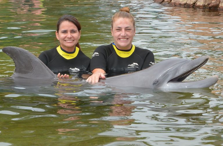 A equipe do Projeto Tamar visitou os parques do SeaWorld Parks & Entertainment na Flórida