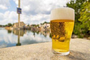 SeaWorld Orlando está oferecendo cerveja grátis até 31 de janeiro de 2025