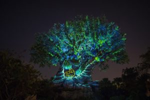 Tree of Life Awakens - The Lion King