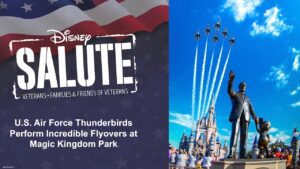 U.S. Air Force Thunderbirds Perform Incredible Flyovers at Magic Kingdom Park