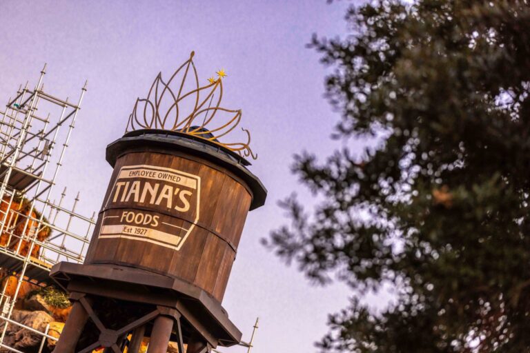 A torre de água da atração Tiana's Bayou Adventure já foi instalada no Magic Kingdom