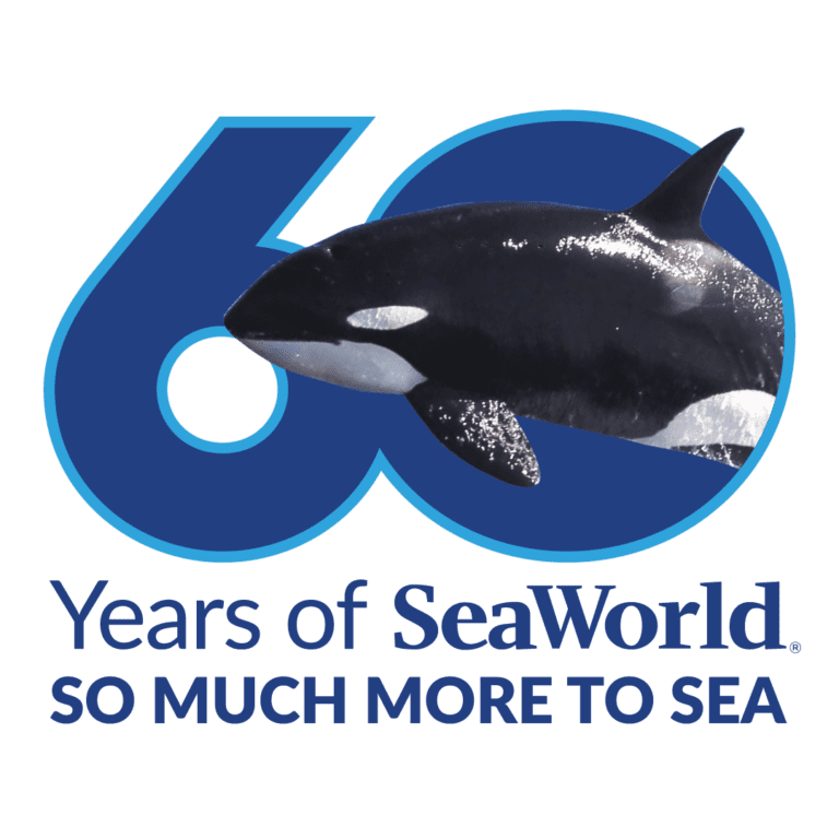 SeaWorld celebra 60 anos com festa e novidades em seus três parques nos Estados Unidos