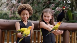 2021 Discovery Cove AviaryKids