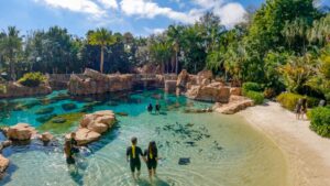 Discovery Cove é a melhor opção para relaxar durante as férias de julho em Orlando