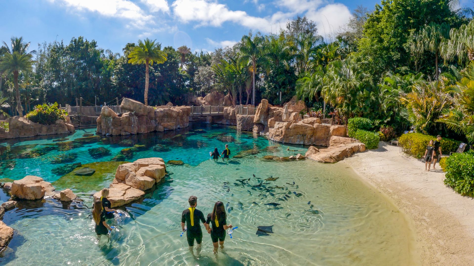 Discovery Cove é a melhor opção para relaxar durante as férias de julho ...