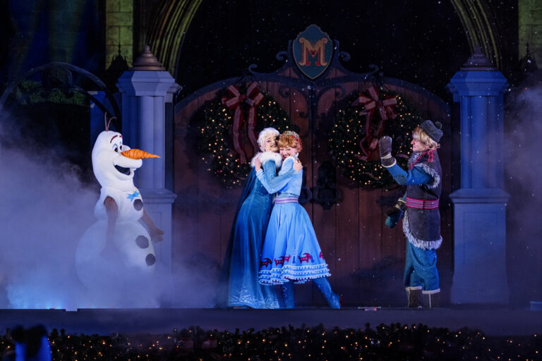 Frozen Holiday Surprise Magic Kingdom