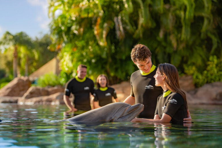 Discovery Cove anuncia oferta exclusiva de fim de ano