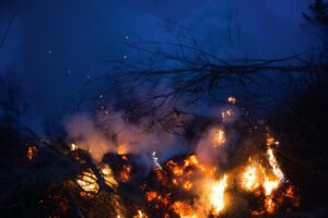 Joe Rohde destacou que várias casas de Imagineiros foram destruídas por incêndios florestais no sul da Califórnia