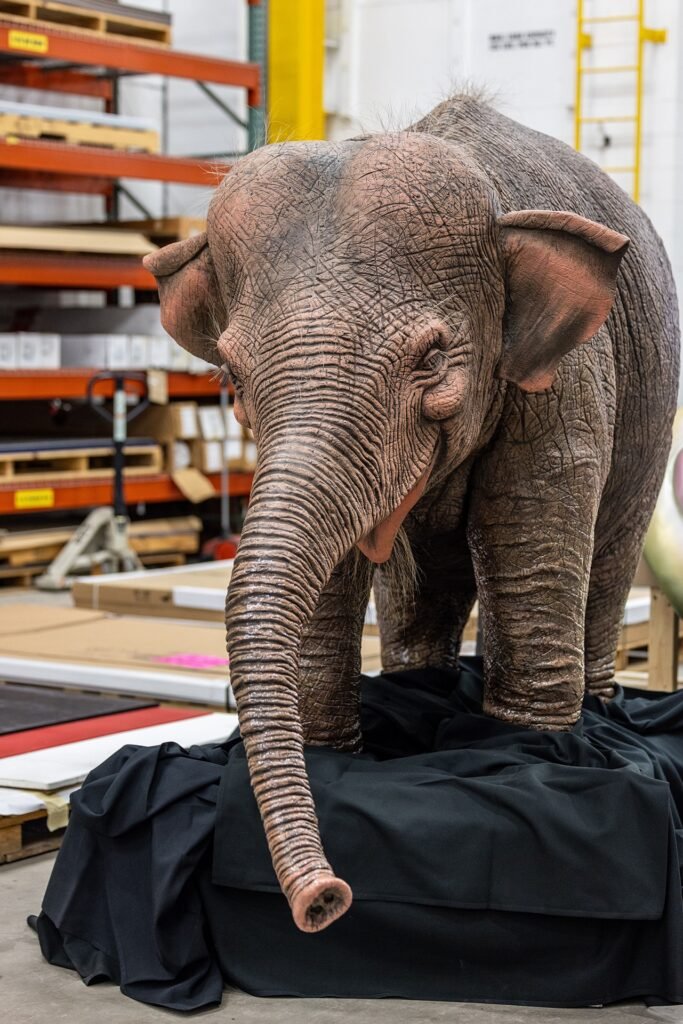 this baby elephant is almost ready to rejoin the herd at jungle cruise