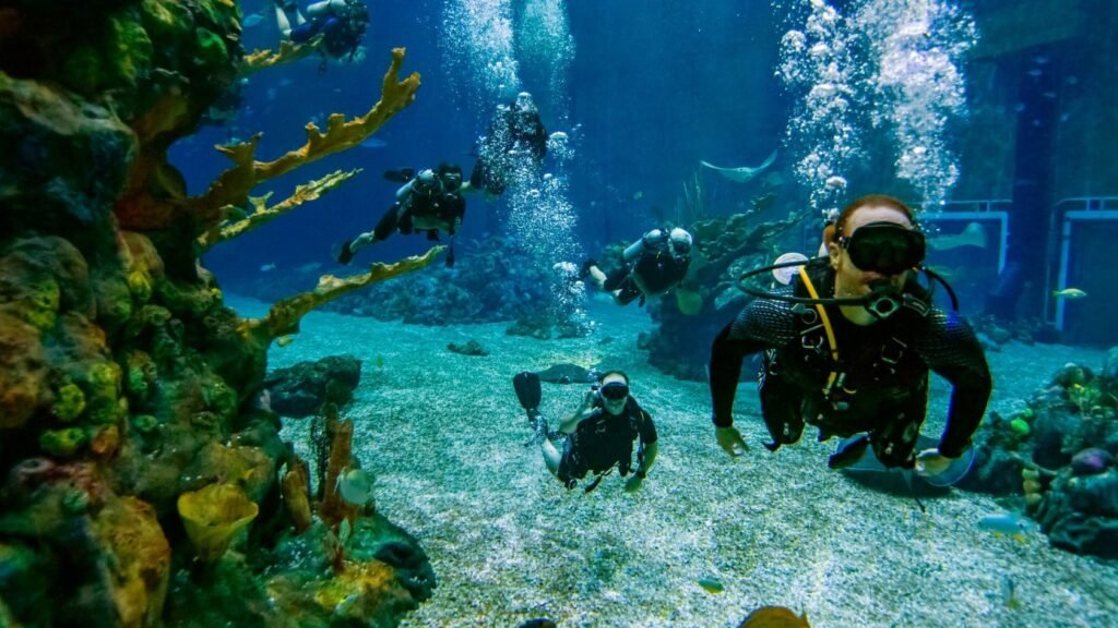 epcot divequest
