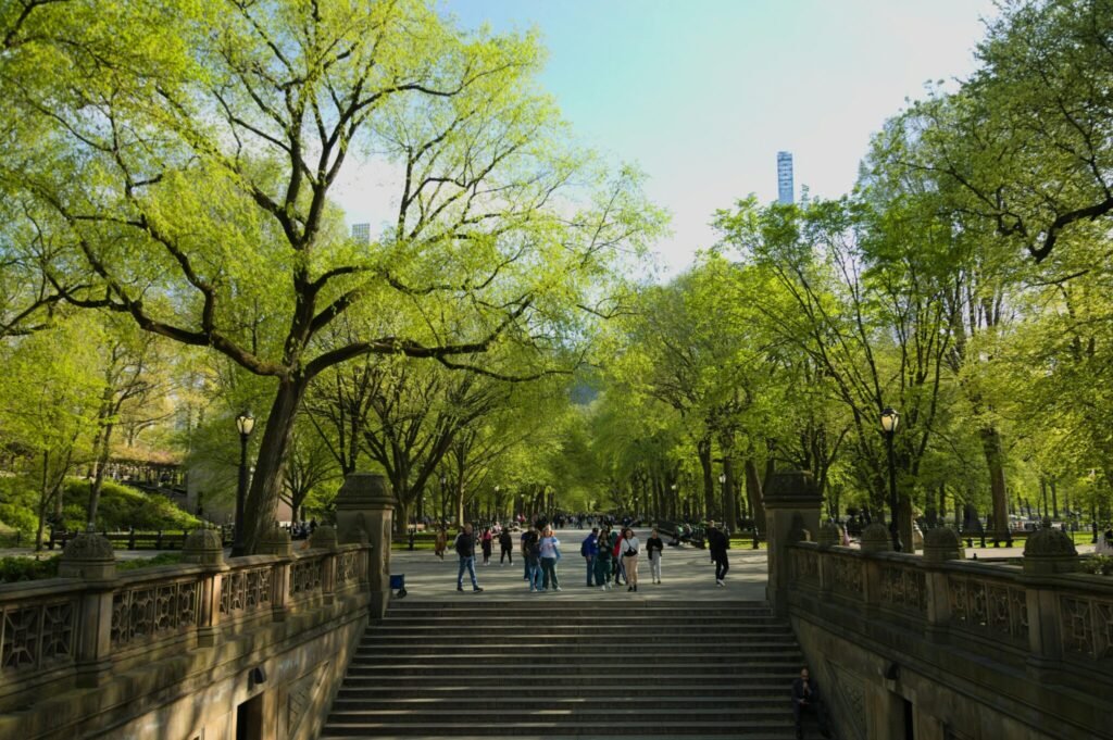 central park pexels jothamsutharson 16778408.jpg